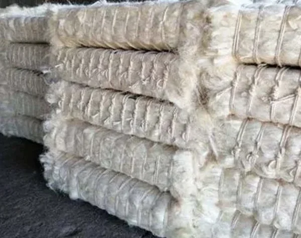 Our modern facilities handle decortication, drying, brushing, and grading to deliver clean, uniform fiber that meets international export standards.