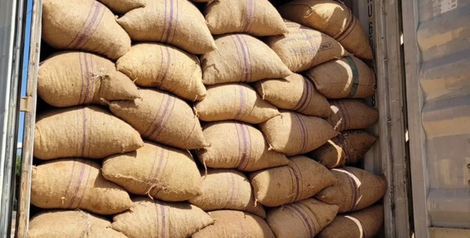 We supply compressed, export-ready sisal fiber bales through Mombasa Port to clients worldwide under FOB and CIF terms.