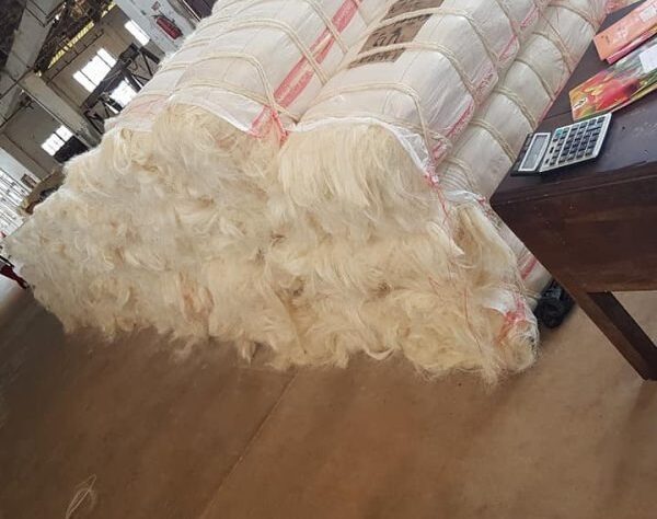 We provide tailored fiber grades and packaging options to match specific industrial requirements for rope, twine, carpets, and construction materials.